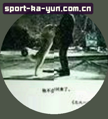 周慧